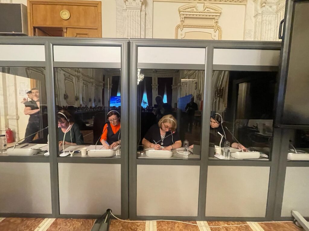 Ce face un interpret?